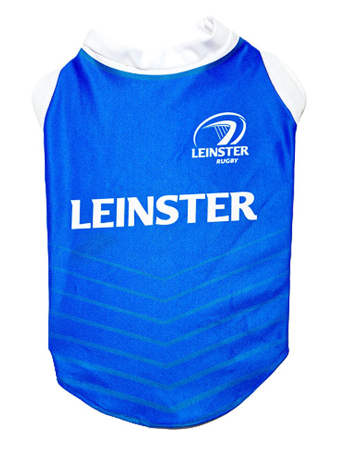 leinster jersey